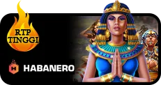 Slot Dana Habanero